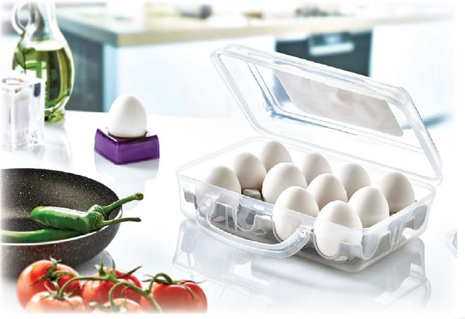 Set of 2 Portable Egg Box Egg Holder, Container, Clip Lock with Handle