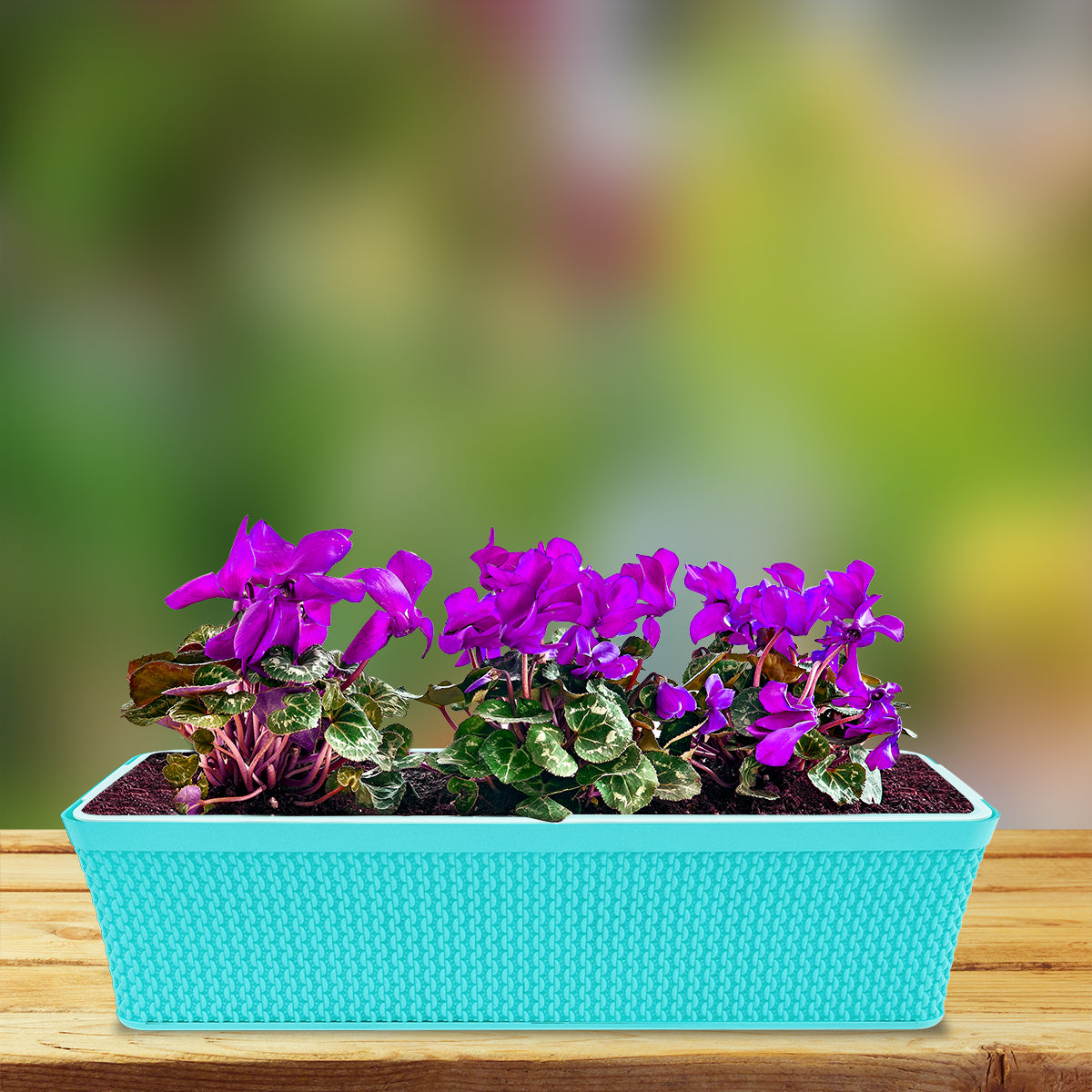 Set of 2 Flower Pot Balcony, Window, Garden Box Planter Pot (49cm)